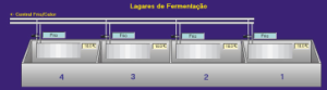 Lagares de Fermentação